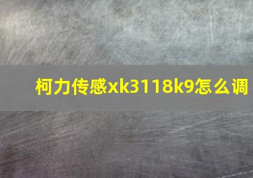 柯力传感xk3118k9怎么调