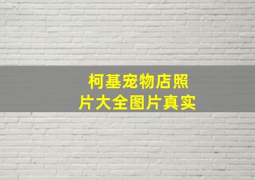 柯基宠物店照片大全图片真实