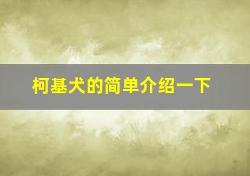 柯基犬的简单介绍一下