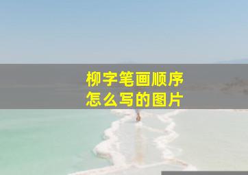 柳字笔画顺序怎么写的图片