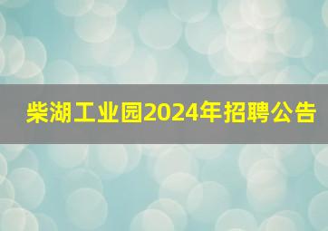 柴湖工业园2024年招聘公告