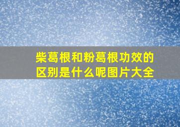 柴葛根和粉葛根功效的区别是什么呢图片大全