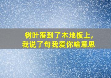 树叶落到了木地板上,我说了句我爱你啥意思