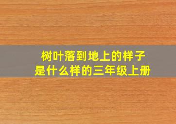 树叶落到地上的样子是什么样的三年级上册