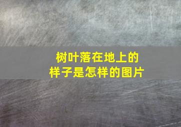 树叶落在地上的样子是怎样的图片