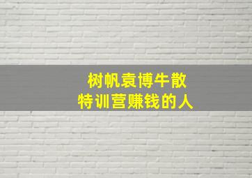 树帆袁博牛散特训营赚钱的人