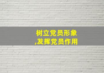 树立党员形象,发挥党员作用