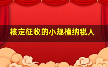 核定征收的小规模纳税人