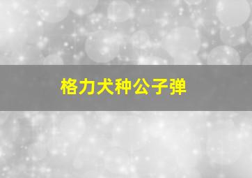 格力犬种公子弹