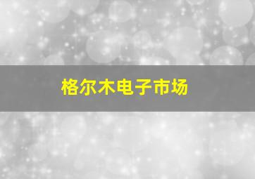 格尔木电子市场