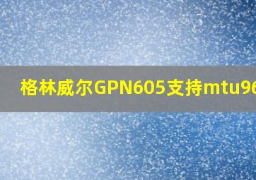 格林威尔GPN605支持mtu9600吗