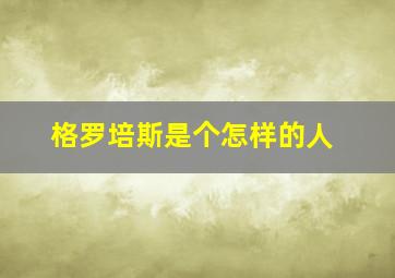 格罗培斯是个怎样的人