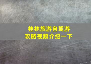 桂林旅游自驾游攻略视频介绍一下