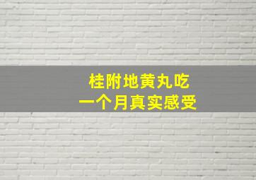 桂附地黄丸吃一个月真实感受