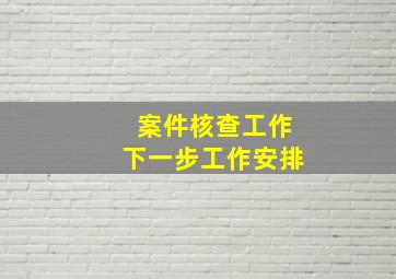 案件核查工作下一步工作安排