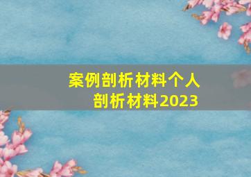 案例剖析材料个人剖析材料2023