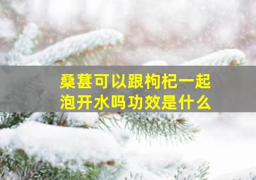 桑葚可以跟枸杞一起泡开水吗功效是什么