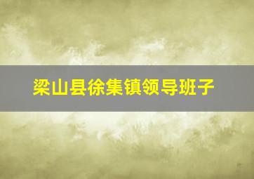 梁山县徐集镇领导班子