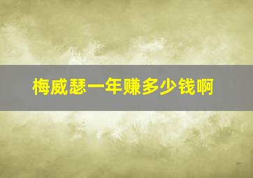 梅威瑟一年赚多少钱啊