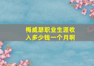 梅威瑟职业生涯收入多少钱一个月啊