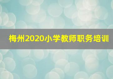 梅州2020小学教师职务培训