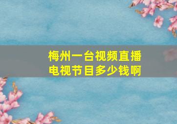 梅州一台视频直播电视节目多少钱啊