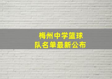 梅州中学篮球队名单最新公布