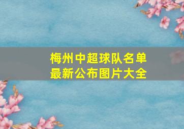 梅州中超球队名单最新公布图片大全