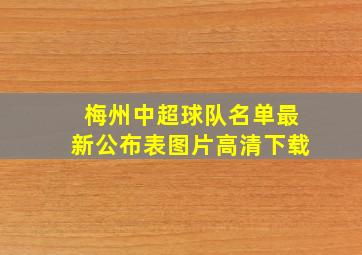 梅州中超球队名单最新公布表图片高清下载