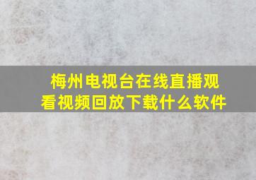 梅州电视台在线直播观看视频回放下载什么软件