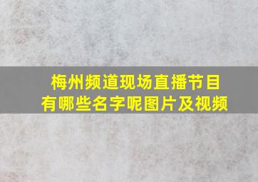 梅州频道现场直播节目有哪些名字呢图片及视频