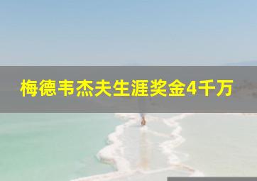 梅德韦杰夫生涯奖金4千万