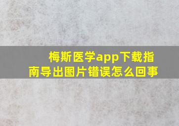 梅斯医学app下载指南导出图片错误怎么回事