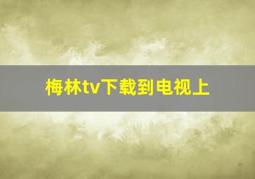 梅林tv下载到电视上