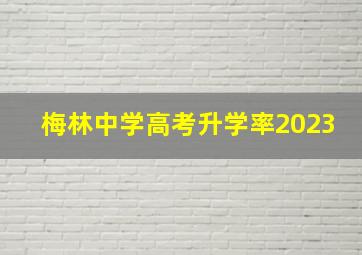 梅林中学高考升学率2023