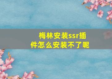 梅林安装ssr插件怎么安装不了呢