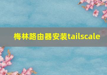 梅林路由器安装tailscale