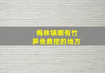 梅林镇哪有竹笋免费挖的地方