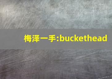 梅泽一手:buckethead