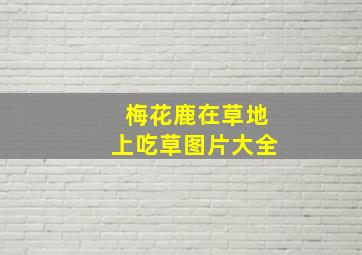 梅花鹿在草地上吃草图片大全