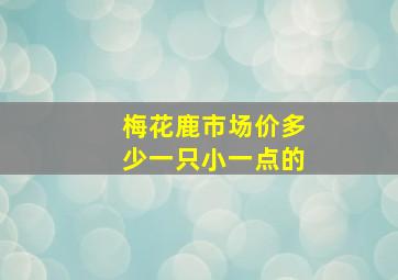 梅花鹿市场价多少一只小一点的