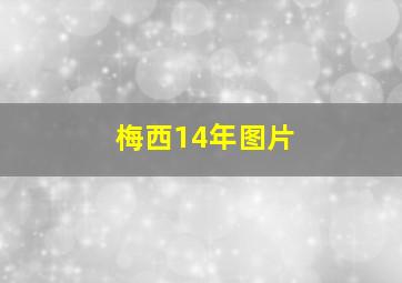 梅西14年图片