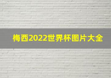 梅西2022世界杯图片大全