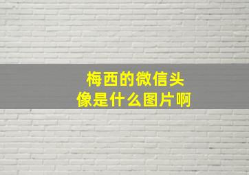 梅西的微信头像是什么图片啊