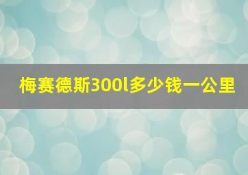 梅赛德斯300l多少钱一公里