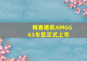 梅赛德斯AMGG63车型正式上市