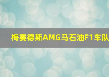 梅赛德斯AMG马石油F1车队