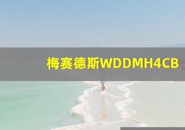 梅赛德斯WDDMH4CB