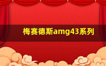 梅赛德斯amg43系列