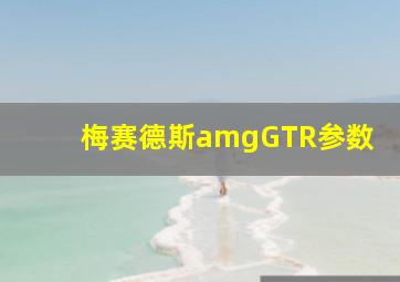 梅赛德斯amgGTR参数